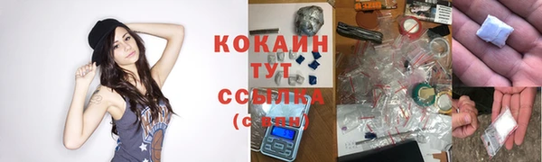спиды Алзамай