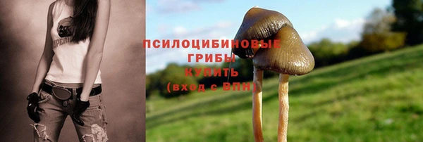 герыч Алексин
