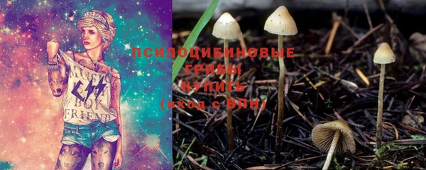 спиды Алзамай