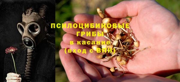 спиды Алзамай
